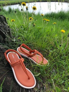 IMG_5027ss.jpg