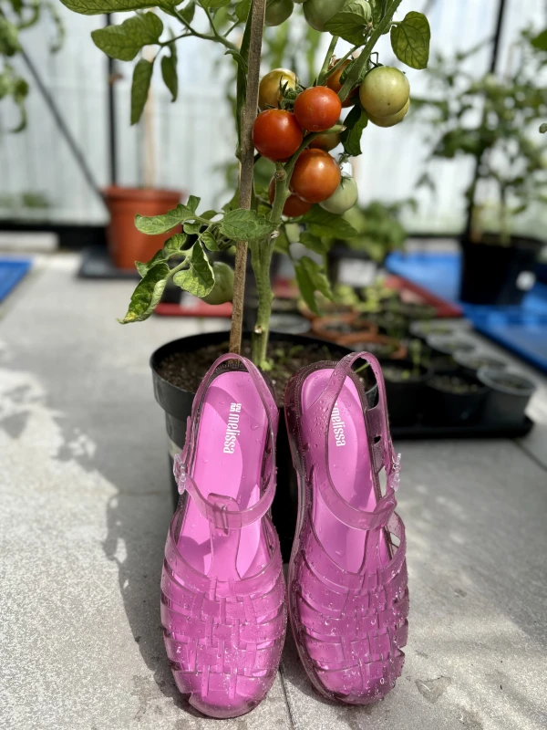 Melissa Possession Clear Glass Pink